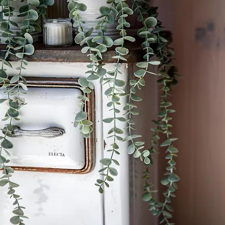 Il Como' Della Civetta - Taverna “la Fenice” * Stazzona