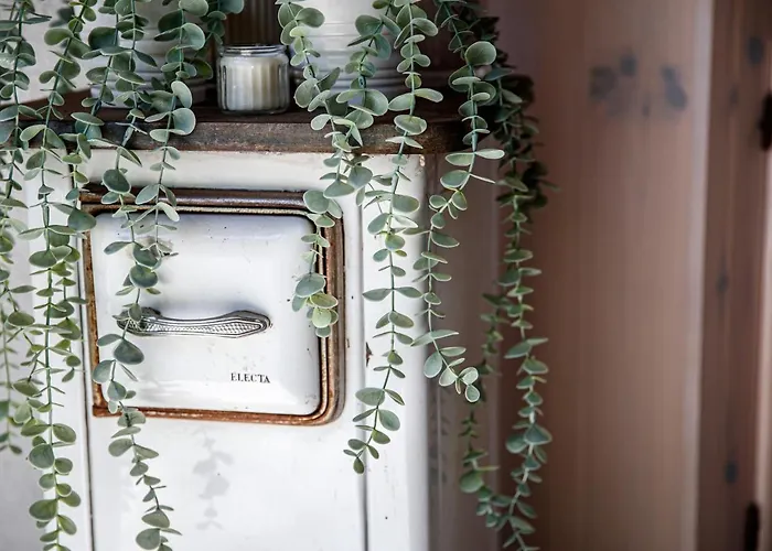 Il Como' Della Civetta - Taverna “la Fenice” * Stazzona